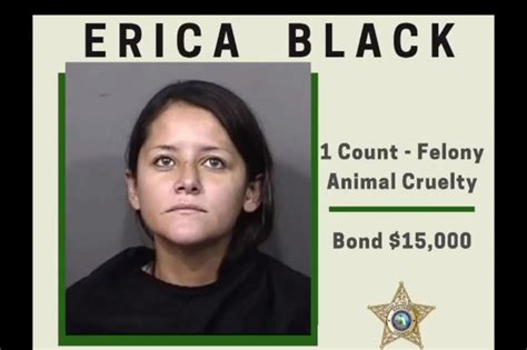 erica black drowned chihuahua in pool live streamed its body cops
