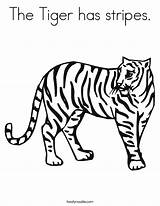 Tiger Coloring Worksheet Stripes Harimau Has Drawing Lsu Sheet Print Pages Tracing Outline Book Animals Gung Hay Choy Fat Twisty sketch template