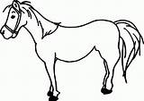 Coloring Cartoon Horses Horse Popular sketch template