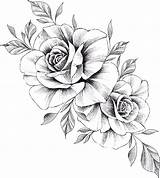 Blumen Vorlage Vorlagen Bleistiftzeichnungen Zeichnen Blume Zeichnung Rosen Query Bunte Orimoto sketch template