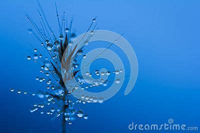 dreamstime stock images photography pinterest