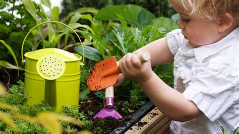 Jardinería Con Niños Cómo Involucrarlos