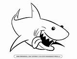 Shark Mouth Open Drawing Getdrawings sketch template