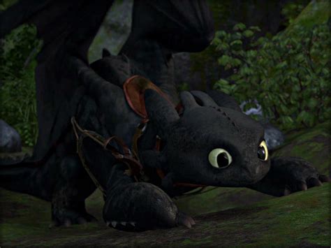 pics    train  dragon httyd toothless hiccup
