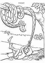 Jungle Coloring Pages Book Snake Cartoon Printable Disney Sheets sketch template
