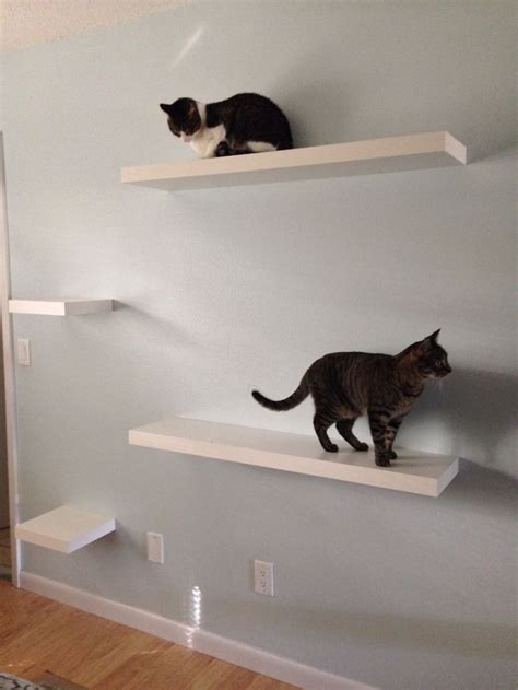 Ikea For The Idea For Cat Shelves Staggered Ikea Lack White Shelves