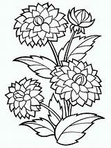 Pages Coloring Dahlia Flower Printable Flowers sketch template