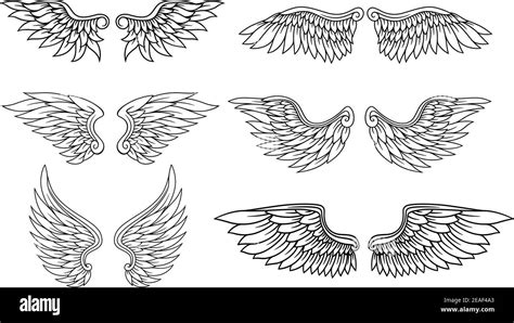Set Of Eagle Or Angel Wings For Heraldry And Tattoo Design Stock Vector