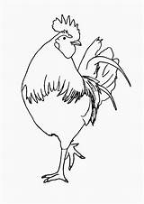 Cocos Colorat Rooster Planse Desene Mewarnai Ayam Roosters Animale Cocosi Chickens Domestice Pelea Gallos Dark Trafic Cocosul Educative Pasari Mancare sketch template