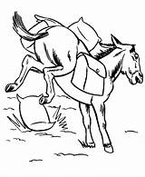 Mule Bucking Honkingdonkey Sheets Donkey Designlooter Saddle Ranch sketch template