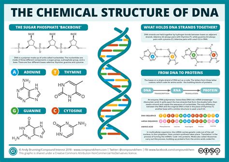 chemical structure  dna compound interest