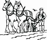 Horse Plough Plow Horses Kingham Pluspng Drawing Transparent Getdrawings sketch template