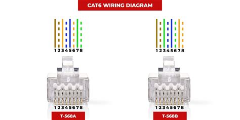 wire  cat cable   wiring diagram