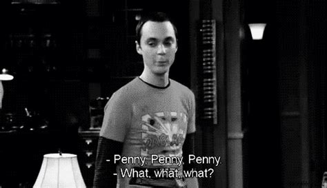 the big bang theory penny and sheldon find and share on giphy
