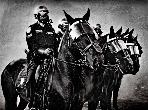 mounted patrol unit hamilton police service