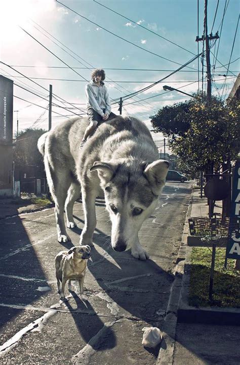 crazy photoshop photography  martin de pasquale