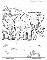 Coloring Pages Animal Elephant Family Mammals Mammal Kids Printable Colouring Drawing Book Print Animals Fun Educational Worksheets Three Drawings Horses sketch template