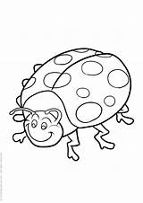Colorat Buburuza Mariquitas Ladybug Coccinella Coccinelle Planse sketch template