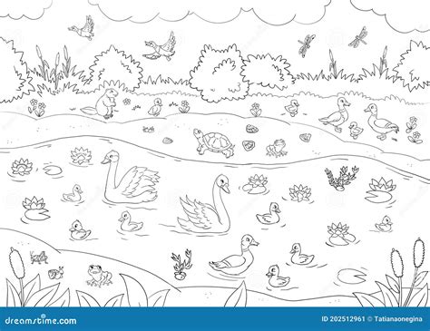 coloring page  summer river landscape  birds stock illustration