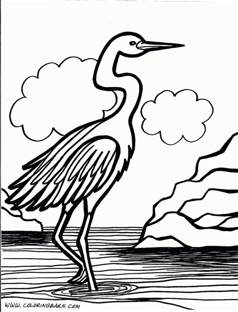bird coloring pages  kids easy coloring pages bird coloring pages