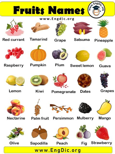 fruits   pictures fruits  list fruit names fruits