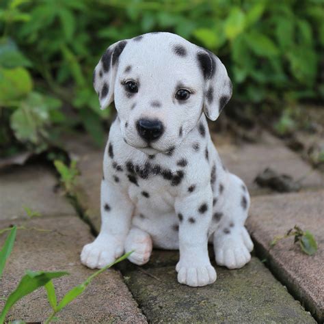 dalmatian puppy statue suesse tiere tiere niedliche welpen