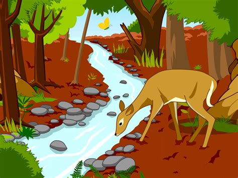 animated clip art  animals habitats driverlayer search engine