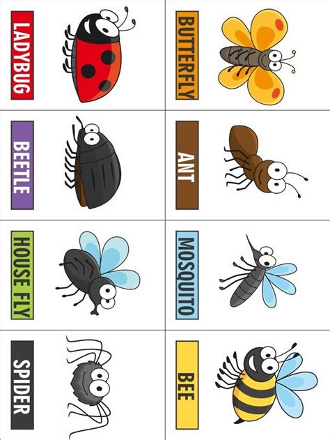 printable bug game insects theme preschool insects theme bugs preschool