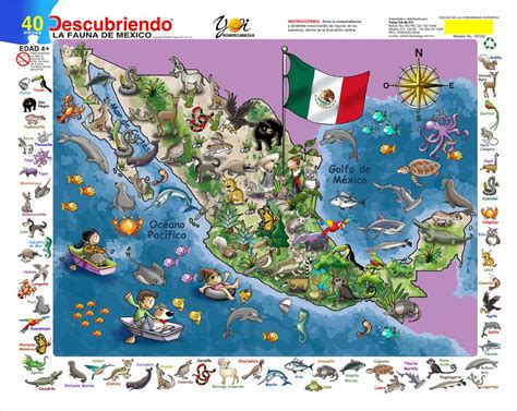 fauna  flora de mexico ilustraciones fauna flores