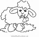 Colorir Moutons Desenhos Mouton Carneirinhos Riscos Ovelhas Imprimer Ovelhinhas Carneiro Ovejas Ovelhinha Animaux Coloriages Coisasdenil Fofos Rabiscos Mig Ligne Marcadores sketch template