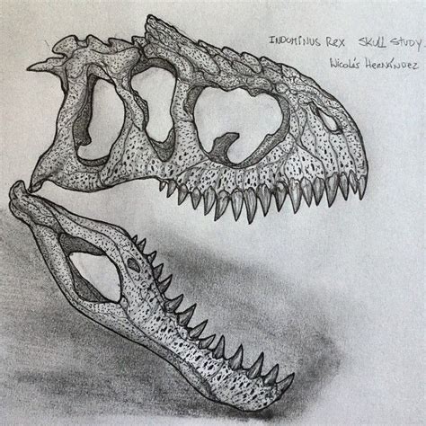 How To Draw Indominus Rex Head Step By Step Beclila
