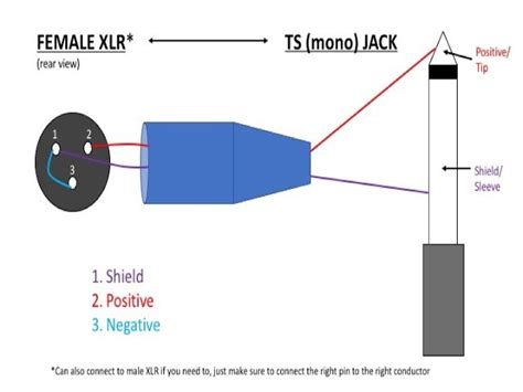 xlr male  female wiring diagram xlr male diagram page   qq    headphone jack