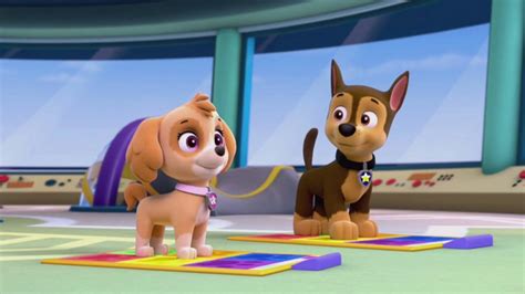 Chase And Skye Tribute For Skye Of The Paw Patrol Youtube