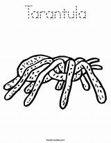 Coloring Tarantula Spider Web Worksheet Pages Noodle Color Twistynoodle Weensy Eensy Built California Usa Getcolorings Twisty Printable Change Tracing Font sketch template