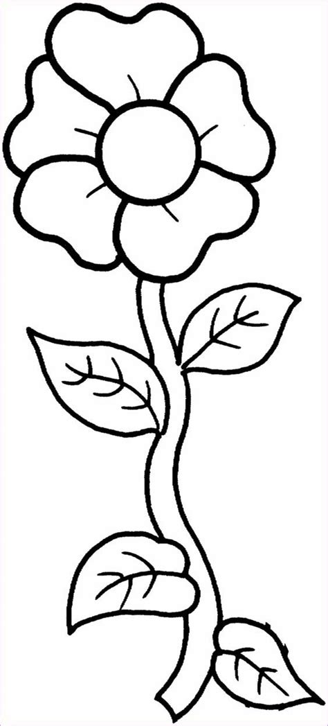 coloring flowers collection coloring page  kids