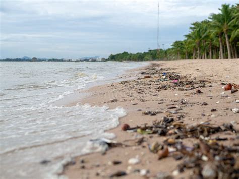 uma praia poluída suja foto de stock imagem de poluída 23134052