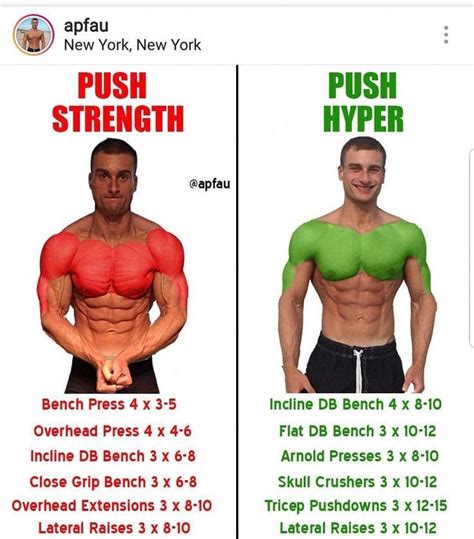 purposeful explained muscle building for skinny guys look