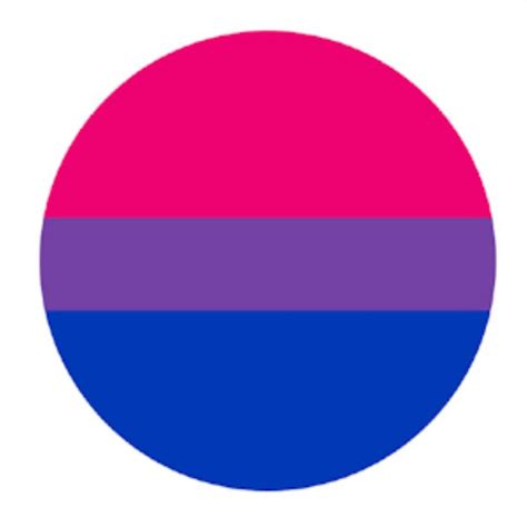 gay pride pin bisexual flag ebay