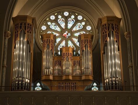 cathedral organ  church