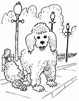 Poodle Coloring Pages Line Drawing Getdrawings Print sketch template