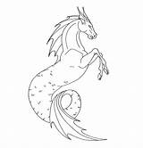 Hippocampe Seahorse Coloriage Hippocampus Hipocampo Lineart Img04 Ancenscp Phenomenon sketch template