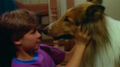 Watch The New Lassie Episode Livewire
