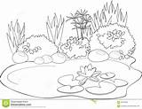 Pond Coloring Pages Animals Getcolorings Printable Color Getdrawings sketch template