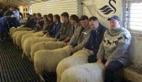 Welsh Speed Dating Funny