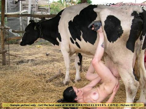 cow porn videos tubezzz porn photos