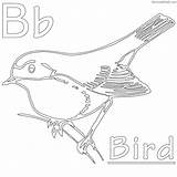 Wren Coloring Silhouette Bird Getdrawings Getcolorings sketch template