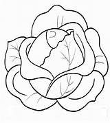 Cabbage Coloring Pages Vegetables Fruits Print sketch template