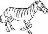 Zebra Coloring Pages Kids Zebras Drawing Baby Head Printable Color Super Clipart Online Supercoloring Drawings Getcolorings Cute Gif Print Comments sketch template
