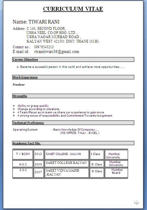 job resume template