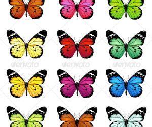 coloring page set  colorful vector butterflies butterfly template